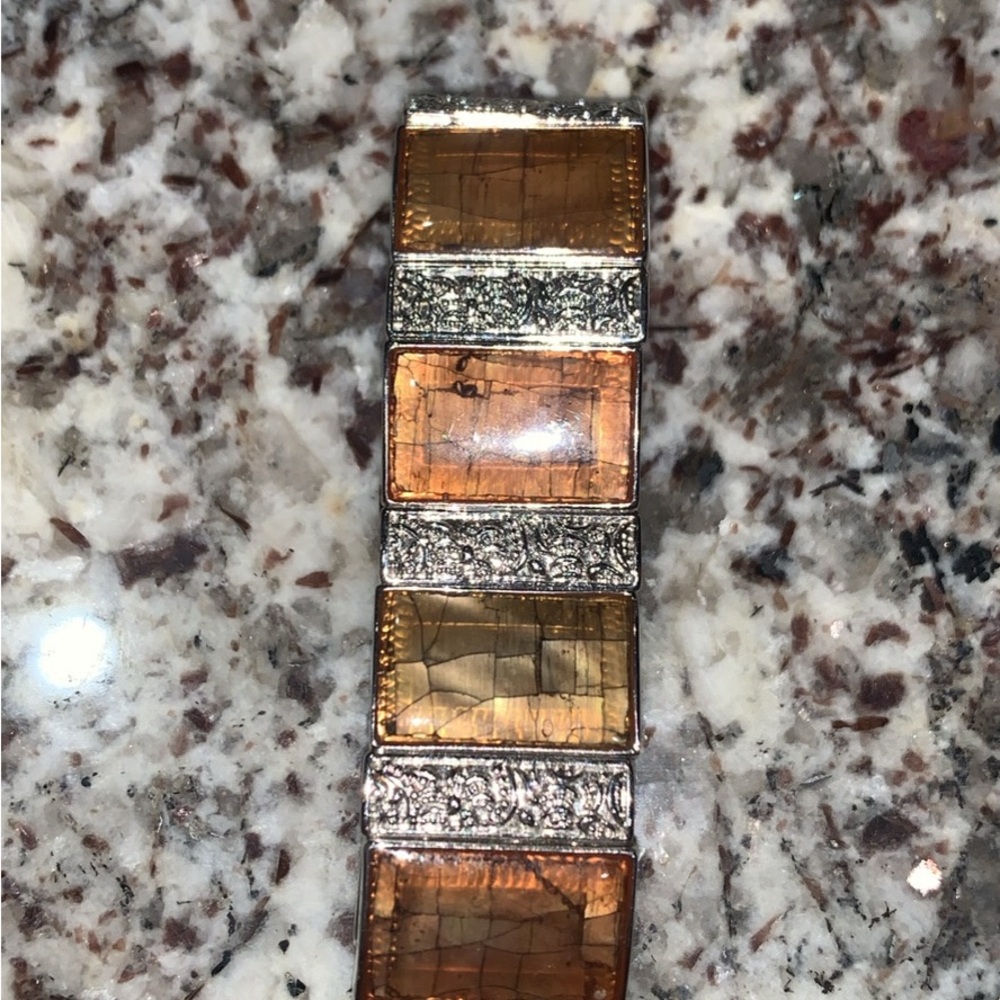 Elegant Silver and Brown Bracelet